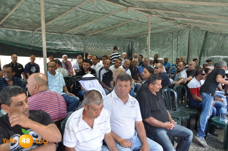 sol7desoqylud615 (82).JPG